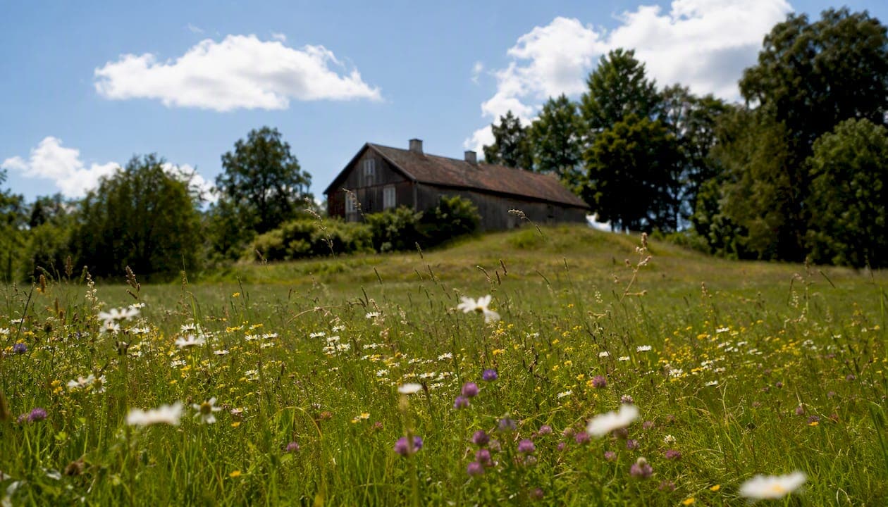 Summer in the Swedish countryside: a guide to a restorative stay