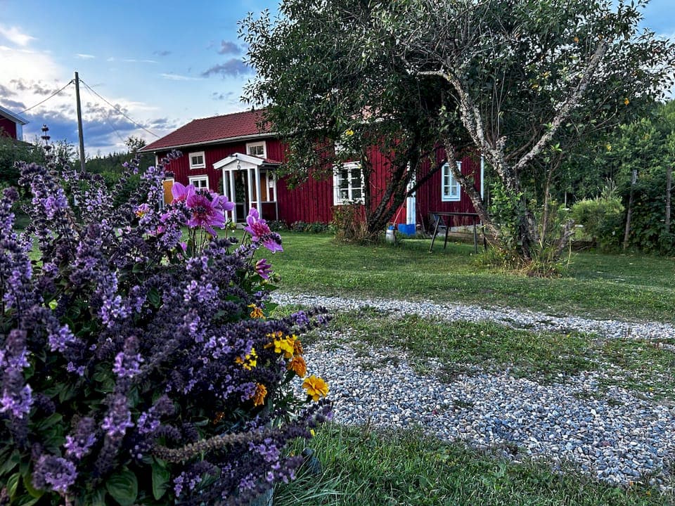 Grounding in nature: a practical guide for travellers