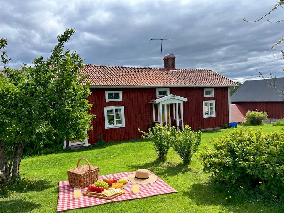 Picnic in the meadow: a family guide to Swedish-style ängar