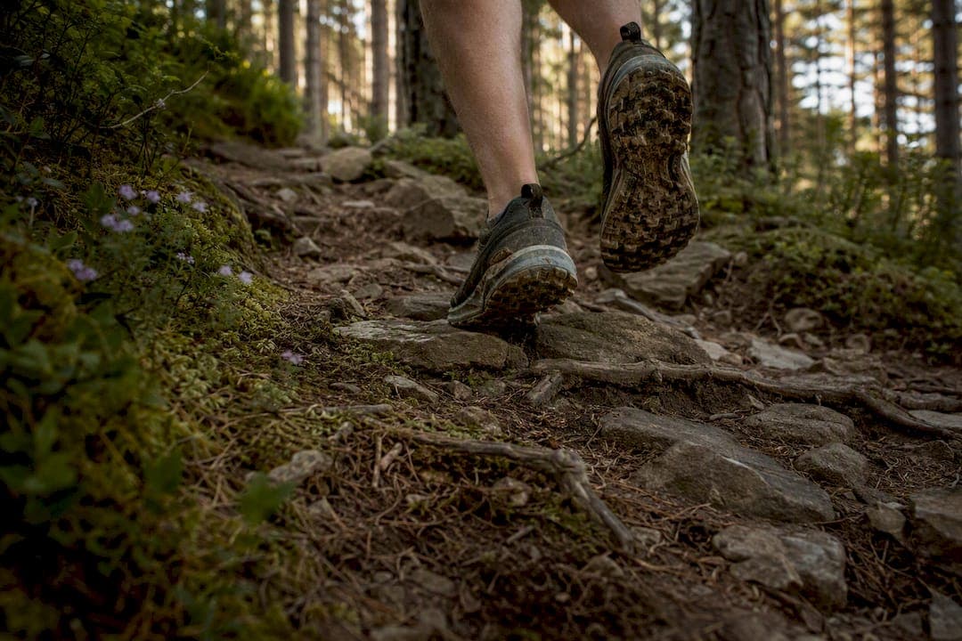 Terränglöpning i skog: a runner's guide to forest trails