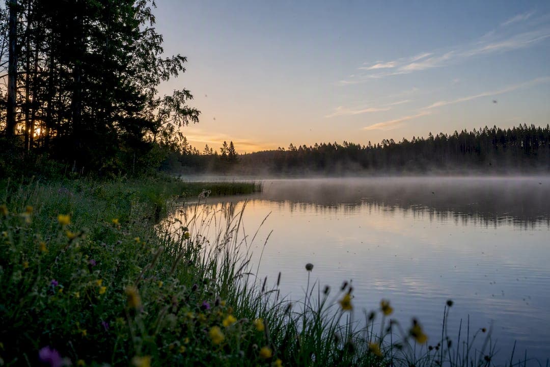 Handling mosquitoes in Swedish forests: a layered defence
