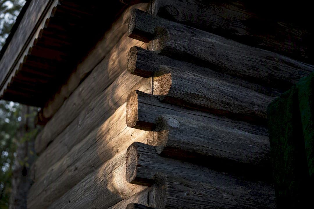 Researchers: Dendrochronology, Craft and Villa Sakis on Knuttimring