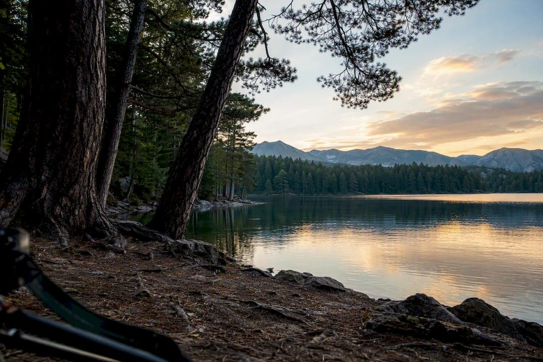 3 Field Tested Setups and Settings for Forest and Lake Photographers