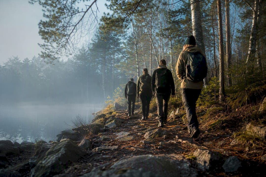 3 Checks and When to Book a Swedish Nature Training Retreat