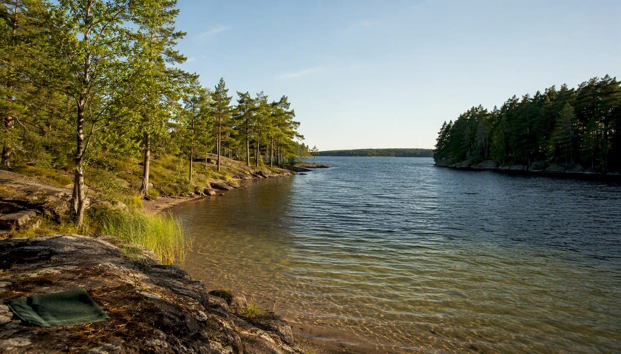 5 Live Checks to Tell If a Swedish Lake Is Safe to Swim