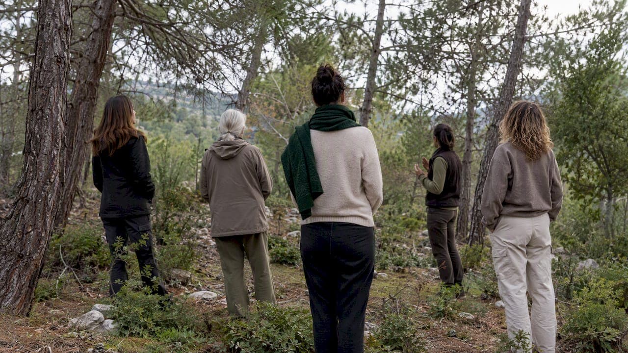 4 Day Nature Wellness Semester: Itinerary, Science and Host Tips