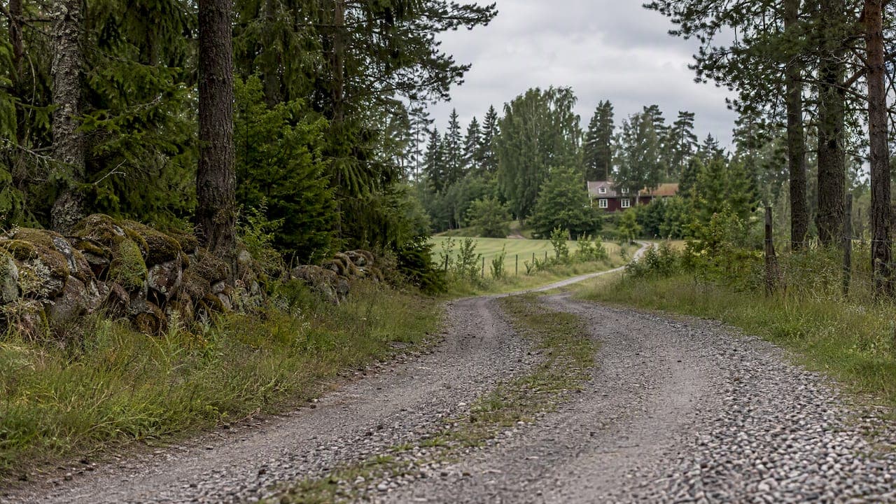 Sweden’s Sustainable Nature Holidays: Travel Drives 75% of Emissions