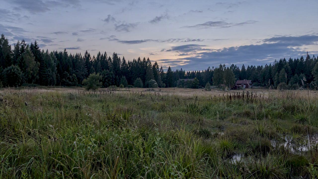 Evening Routines in Nature: A Slow Wind-Down Outdoors
